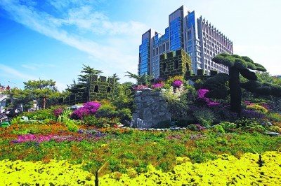 东单 花坛 东单 花坛