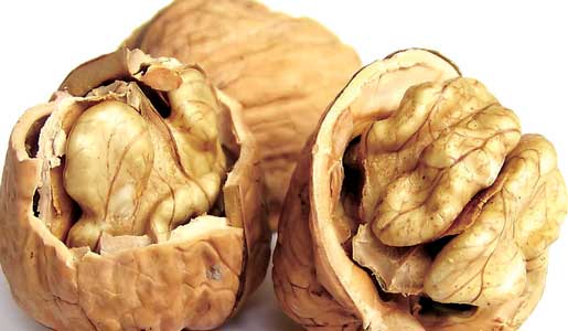 18182775744924420111 18182775744924420111