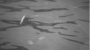 女子往河里撒几万现金 河面漂满钞票引众人围观 女子往河里撒几万现金 河面漂满钞票引众人围观