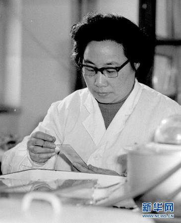 这是20世纪80年代初，任中医研究院中药研究所副研究员的屠呦呦在进行科研工作。