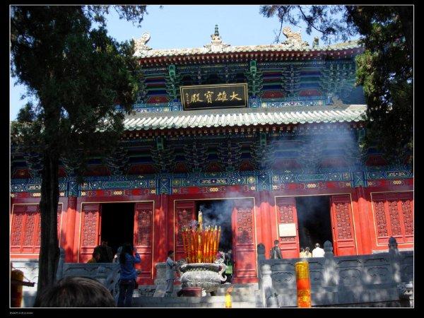 少林寺免费发玉米:每天限量派送5000多穗 游客排队领取