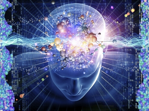 英女子超强记忆 英女子超强记忆