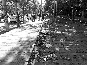 丰台朝阳划界存争议 一条便道东侧整洁西侧脏 丰台朝阳划界存争议 一条便道东侧整洁西侧脏