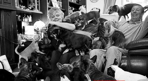 夫妇养41条狗 夫妇养41条狗