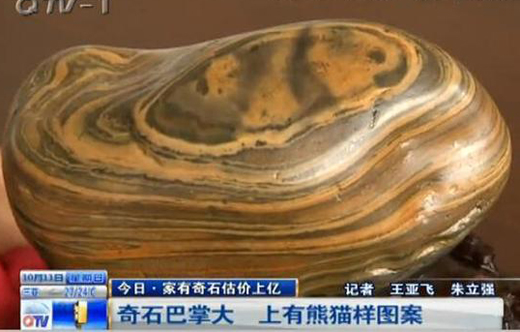 捡奇石有熊猫图案