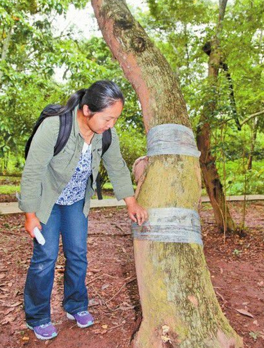 1444658503739 1444658503739