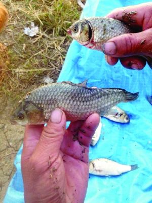 U322P4T8D7566183F107DT20151013092210 U322P4T8D7566183F107DT20151013092210