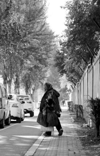 拾荒老人 拾荒老人