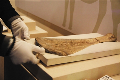 工作人员正在陈列甲骨展品，此次展览共展出65件甲骨。国家图书馆供图