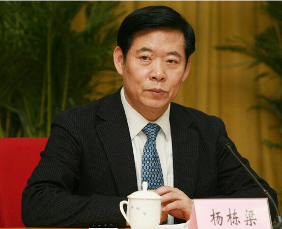 杨栋梁 杨栋梁