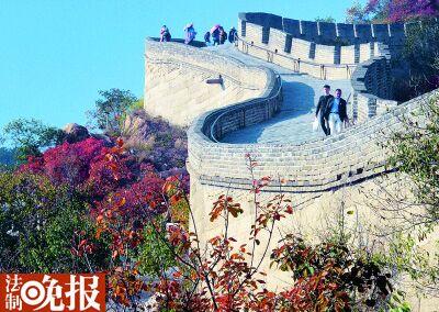 北京红叶进入最佳观赏期 本周末迎首个赏红高峰 北京红叶进入最佳观赏期 本周末迎首个赏红高峰