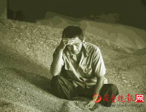 3大主粮收购下跌达3毛 3大主粮收购下跌达3毛