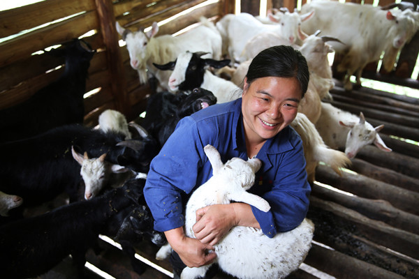 重庆黔江:精准扶贫助贫困户脱贫致富 重庆黔江:精准扶贫助贫困户脱贫致富