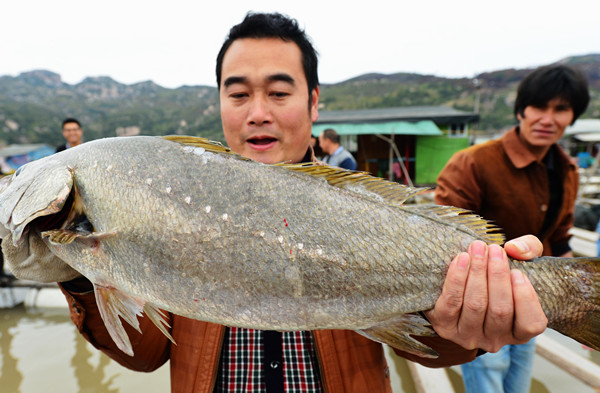 “海上吉普赛人”脱贫记 “海上吉普赛人”脱贫记