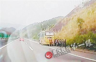 司机高速路上内急 应急车道停车小解被记12分 司机高速路上内急 应急车道停车小解被记12分