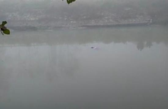 2015102016040282838_550 2015102016040282838_550