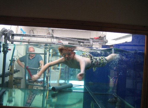 完工后，拉金的大鱼缸足够让儿子在其中游泳，现在里面放养了120条鱼。（