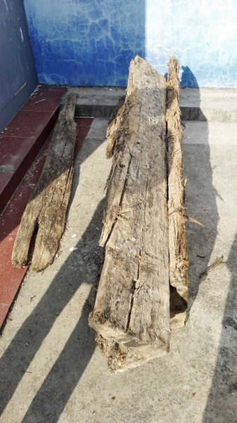 挖出的文物，金丝楠木棺材板。支羽 摄