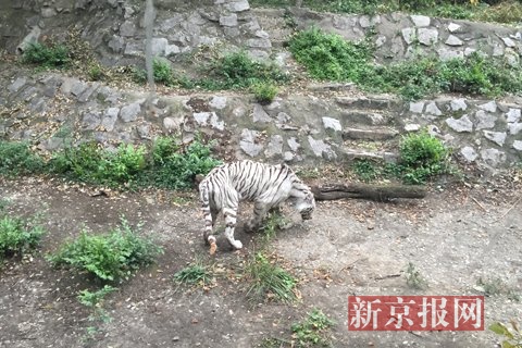 201510221011072d6f1 201510221011072d6f1