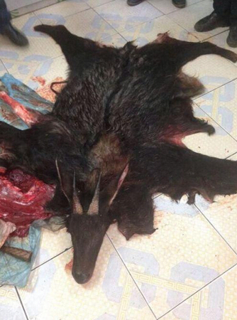 老人自称捕到神兽2 老人自称捕到神兽2