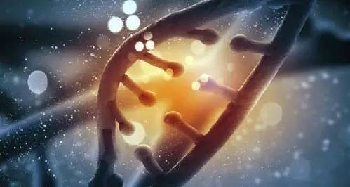 RYL3-fxiwazu5707884 RYL3-fxiwazu5707884