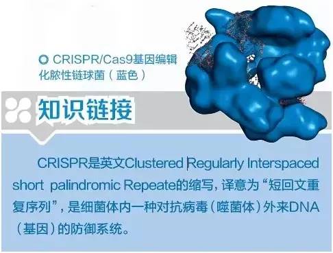 Es8x-fxiwazu5708109 Es8x-fxiwazu5708109