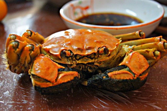 15699490869539096168 15699490869539096168