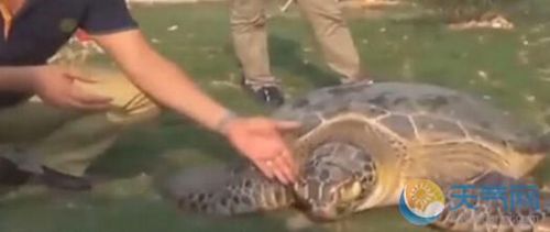 W020151026584987038142 W020151026584987038142