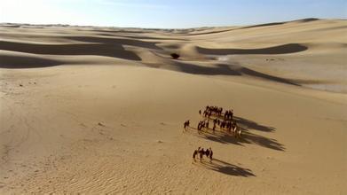 W020151029195251274465 W020151029195251274465