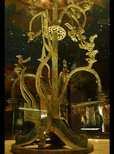 20.秦岭神树  20.秦岭神树