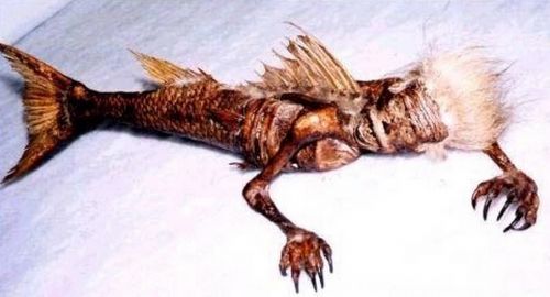 21.黑鳞鲛人  21.黑鳞鲛人