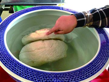 少见的极品太岁 少见的极品太岁