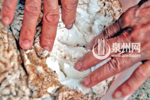 延伸阅读:什么是太岁呢 延伸阅读:什么是太岁呢