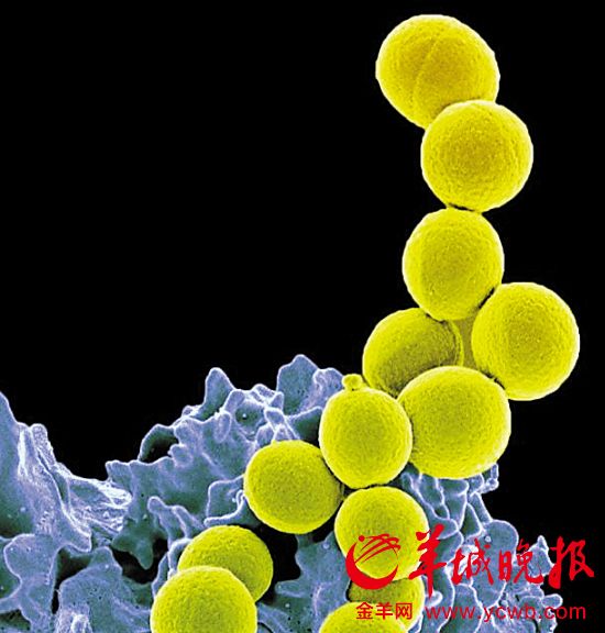 13918488150111203110 (1) 13918488150111203110 (1)