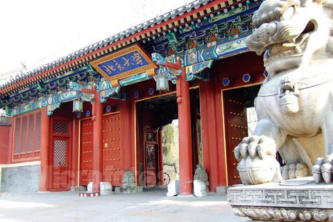 2015116104 2015116104