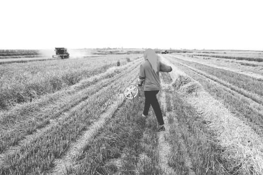 聚焦农村土地承包法修改:框架思路已基本形成 聚焦农村土地承包法修改:框架思路已基本形成