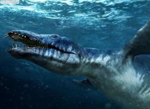 d02788e9b71917ad117046 d02788e9b71917ad117046