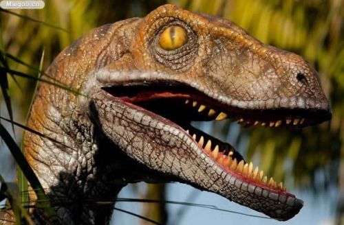 d02788e9b71917ad117049