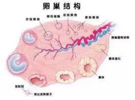 201511091653574e81f 201511091653574e81f