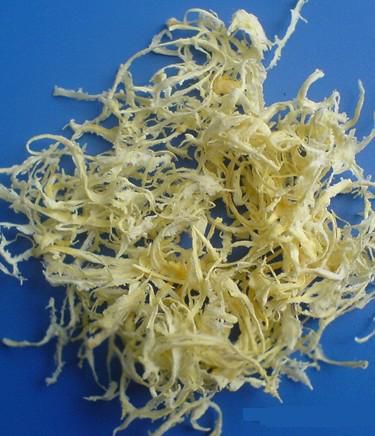 20151111135649fbd5d 20151111135649fbd5d