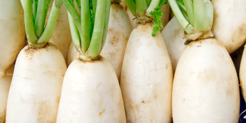 cesifvx0357587 cesifvx0357587