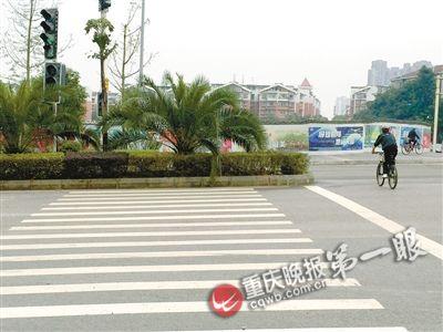 人行横道被绿化带挡住 网友调侃“过马路要会轻功” 人行横道被绿化带挡住 网友调侃“过马路要会轻功”