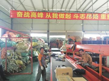 双11落幕大波包裹逼近 快递员发动家人帮送 双11落幕大波包裹逼近 快递员发动家人帮送