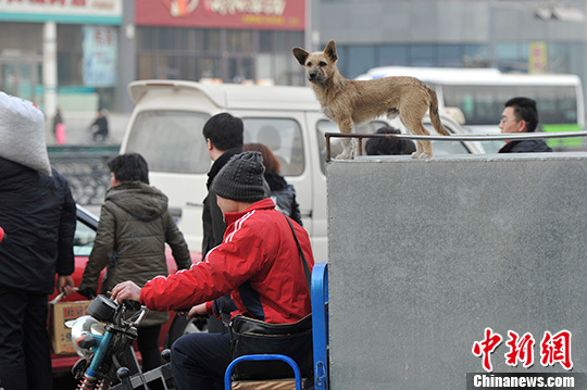 中国拟规定快递企业定期销毁运单保障用户信息安全 中国拟规定快递企业定期销毁运单保障用户信息安全