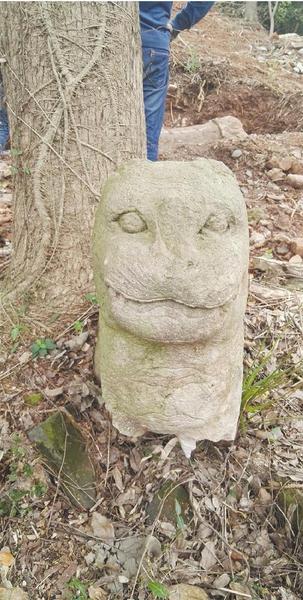 3497484231 3497484231