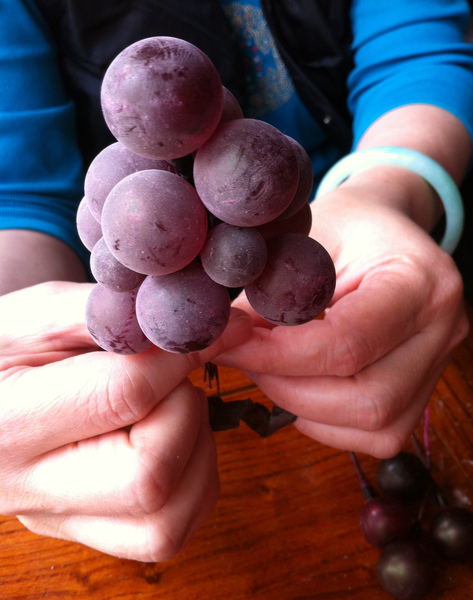 点灰成“霜”后的葡萄晶莹剔透 点灰成“霜”后的葡萄晶莹剔透