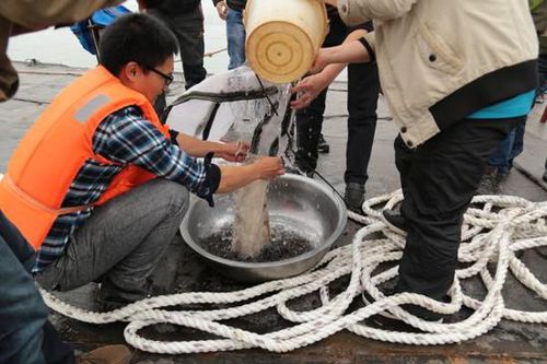 94A31C07787ADB6553178F2CAF68C1B8 94A31C07787ADB6553178F2CAF68C1B8