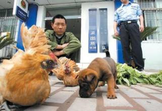 u=1415666041,648177771&fm=21&gp=0 u=1415666041,648177771&fm=21&gp=0