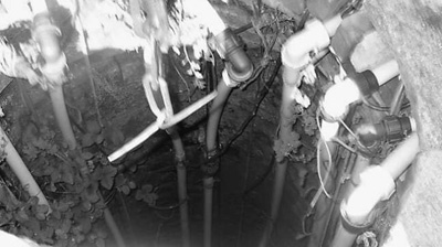 1448307259146_1 1448307259146_1