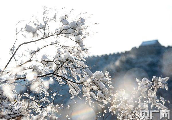 昌平区居庸关长城风景区周边山岗银装素裹，还没来得及枯黄的树叶上，联排错落的屋顶上，恢弘雄伟的城楼上，连绵起伏的山岗上，处处被白雪覆盖，薄雾萦绕，美不胜收。
